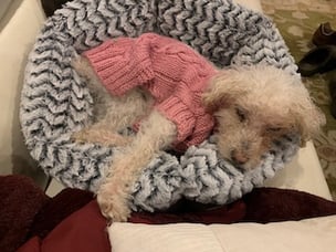 Daisy in Soho Round Bed