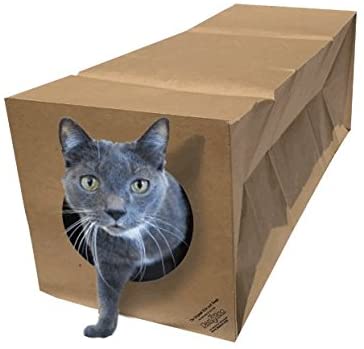 Dezi & Roo Hide and Sneak Collapsible Paper Tunnel Interactive Cat Toy 