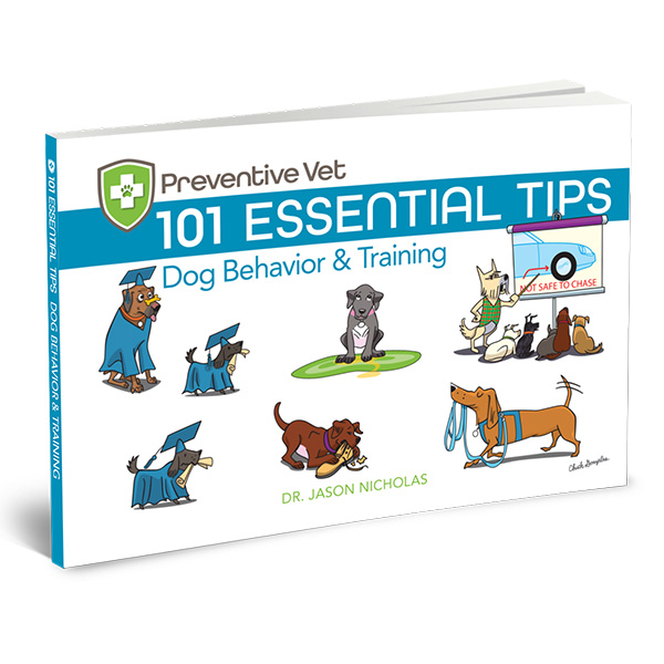 Dog Behavior Training Tips Book Square