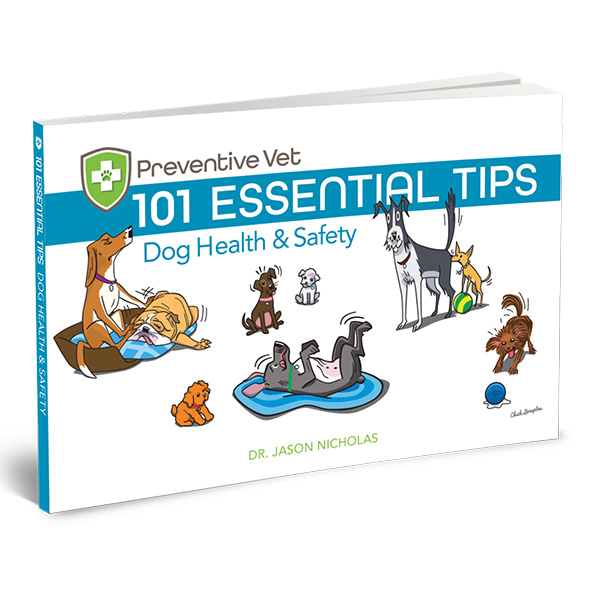 Dog Health Safety Tips Book Square