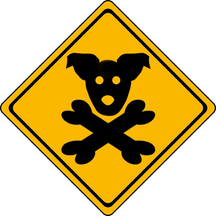 non toxic dog toys