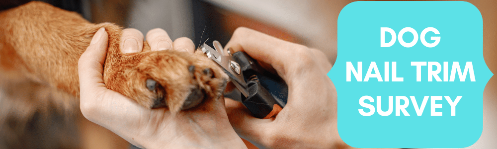Dog nail trim survey