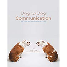 Dog to Dog Communication- The Right Way to Socialize Your Dog
