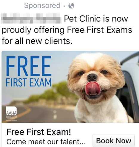 Dog-head-out-window-pet-clinic