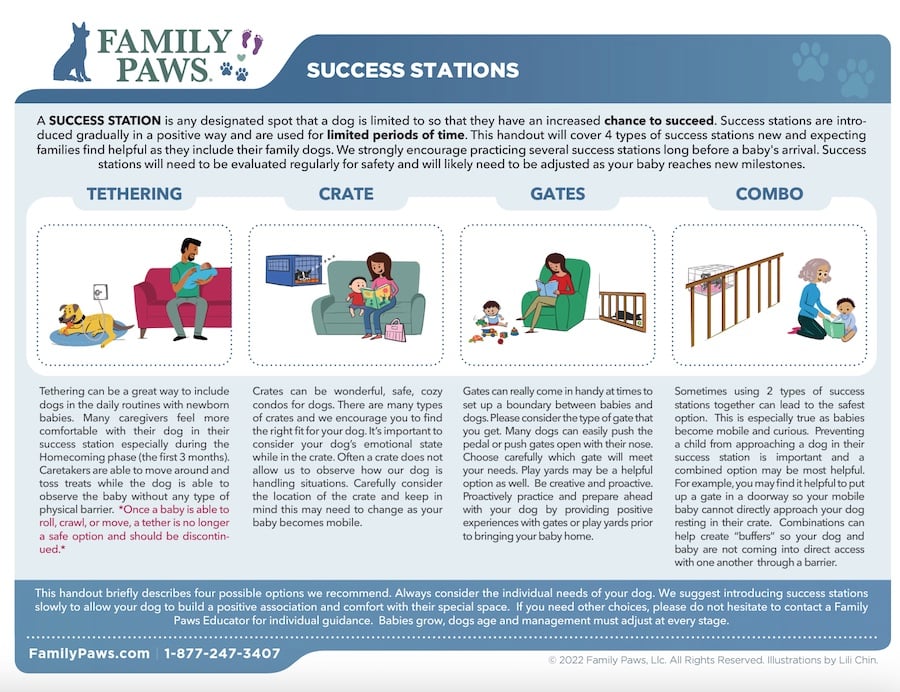 Family Paws Success Stations Handout