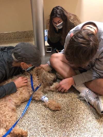 Family with dog Aslan at hospital with xylitol toxicity