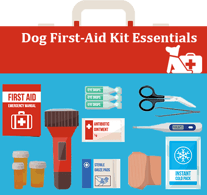 Dog First Aid Essentials
