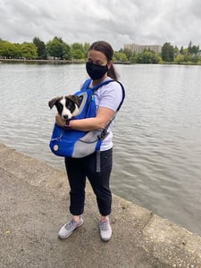 Fozzie in puppy backpack for socialization