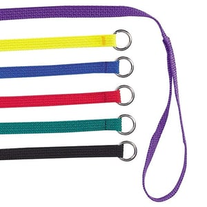 Guardian Gear 6-Feet Nylon Dog Kennel Lead