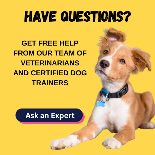 Have questions? Get free help from our experts