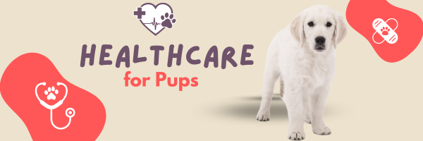 Healthcare for Pups