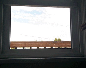 Keeping Your Cat Safe From Falling Out Of High Windows