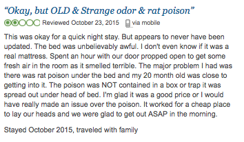 rat poison hotel review