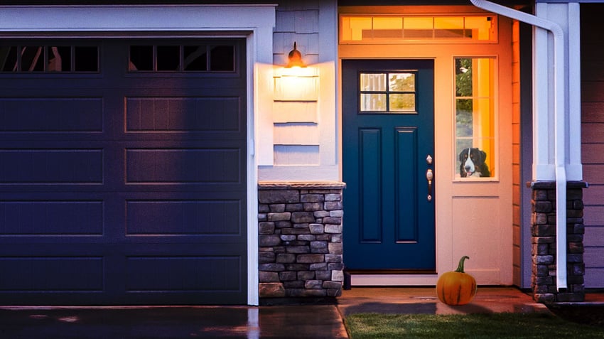 House Door Pumpkin Dog.jpg House Door Pumpkin Dog.jpg