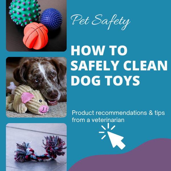 How to Safely Clean Dog toys