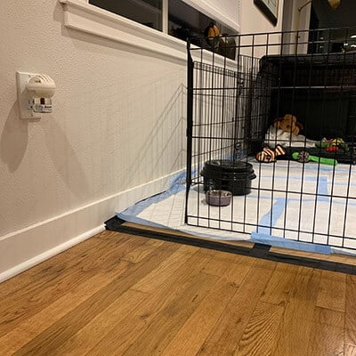 How to Help Your Puppy Sleep Through the Night Preventive Vet