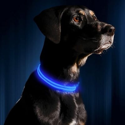 Illumiseen LED dog collar