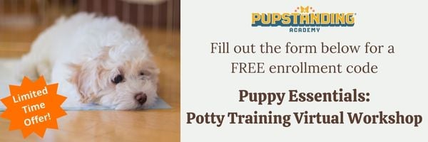 In Blog FREE2022 Potty Workshop Offer CTA (600 × 200 px)