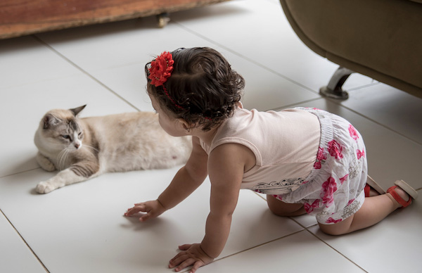 Gato y niño juntos sobre el piso