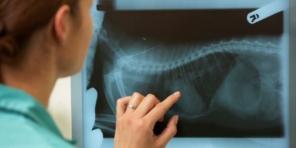 Paying for emergency medical care