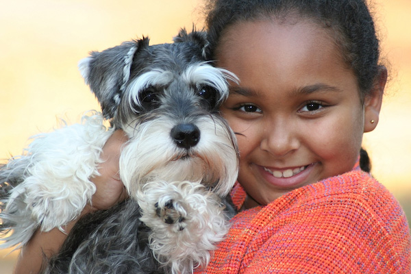 child with schnauzer dog