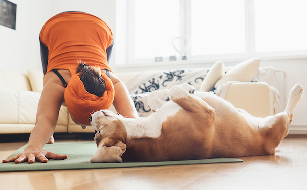 exercising with a dog