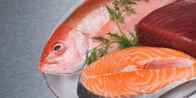 raw fish bad for cats