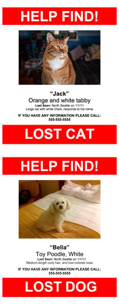 LOST-PET-TEMPLATE-3.jpg