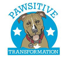 pawsitive-transformation-jennifer anderson