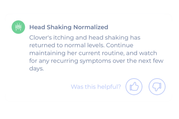 Maven-head-shaking