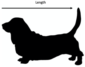 Measuring for crate length