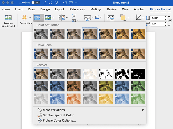 Microsoft Word Picture Format