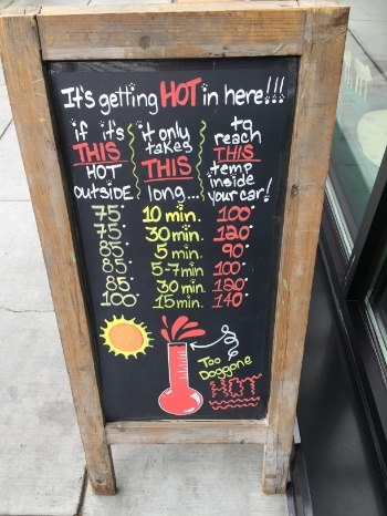 MudBay-hot-cars