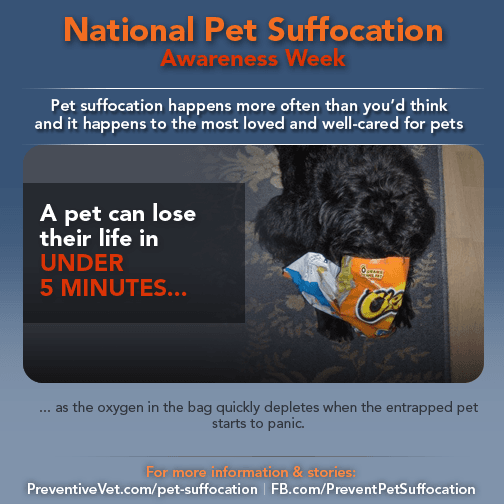 Pet Suffocation The Dangers of Snack Bags for Dogs & Cats