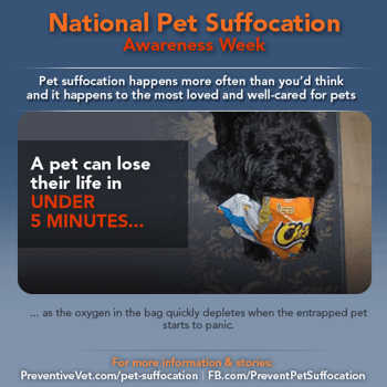 pet suffocation awareness