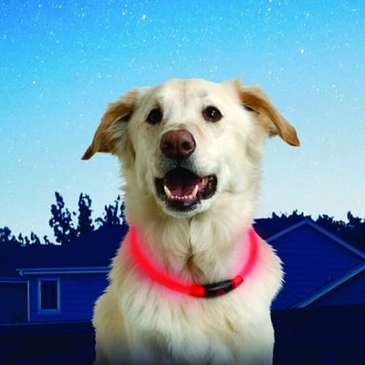 NightHowl Safety Dog Collar