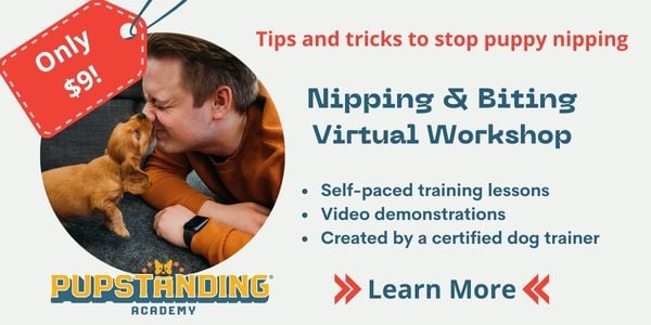 Puppy Nipping and Biting virtual training workshop