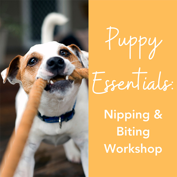 Nipping Workshop