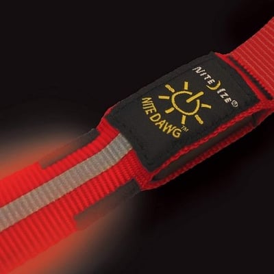 Nite Dawg LED Leash