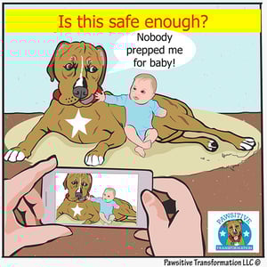 dog-body-language-pawsitive-transformation