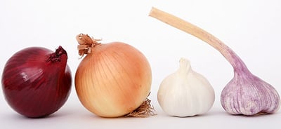Onions and Garlic toxic for animals
