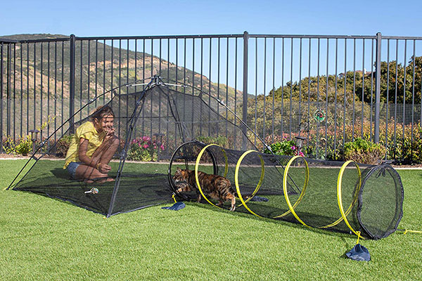 Outdoor Cat Enclosures For Indoor Cats