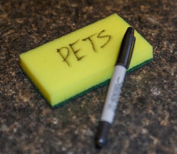 PETS Sponge