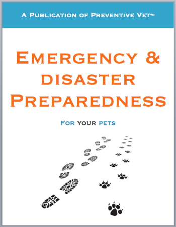 PV-EmergPrep-eBook.png