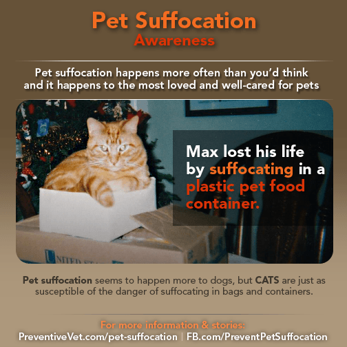 prevent pet suffocation cat max