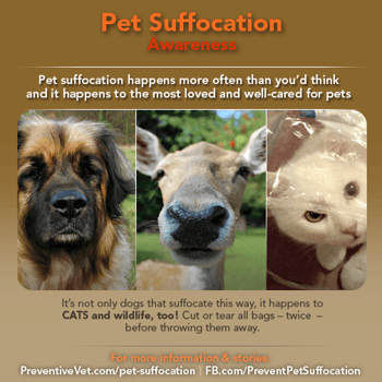 prevent pet suffocation wildlife