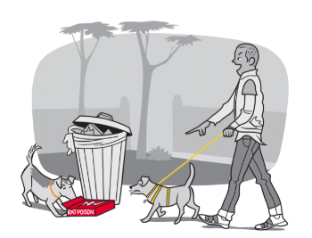PV-Rat-Poison-Leash-Walking.png PV-Rat-Poison-Leash-Walking.png