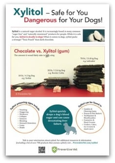 download our xylitol awareness poster