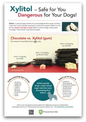 PV-Xylitol-Poster