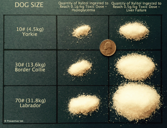 Is artificial sweetener bad for hotsell dogs